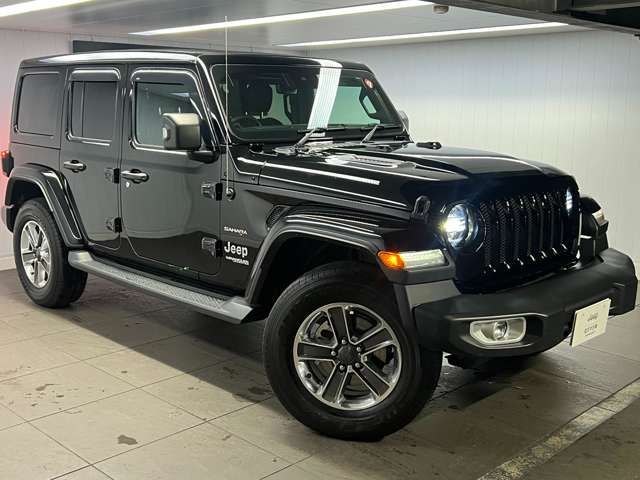 Jeep WRANGLER 2020-06 17988-5