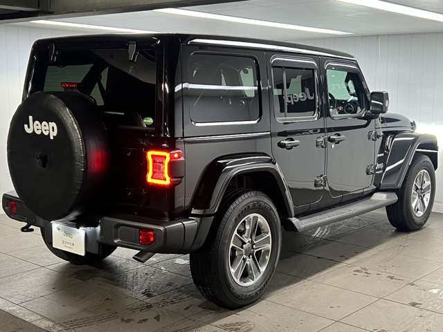 Jeep WRANGLER 2020-06 17988-8