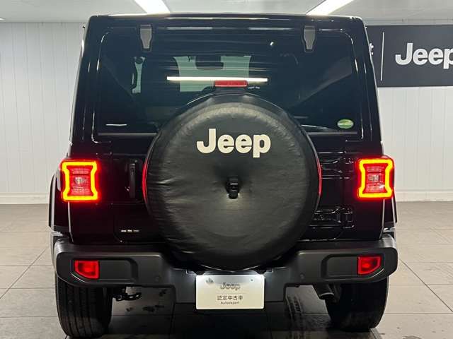 Jeep WRANGLER 2020-06 17988-4