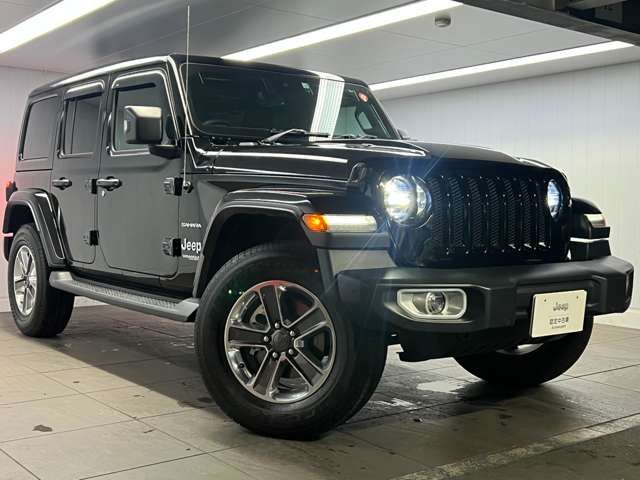 Jeep WRANGLER 2020-06 17988-7