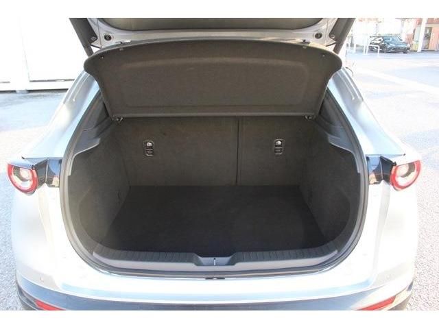 Mazda CX-30 2021-12 193276-17
