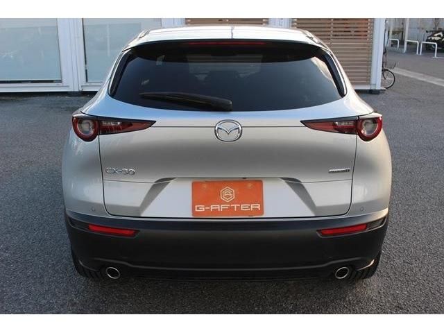 Mazda CX-30 2021-12 193276-9