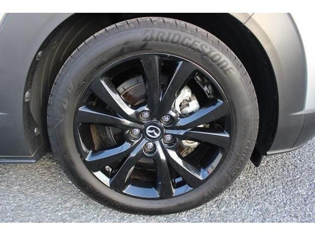 Mazda CX-30 2021-12 193276-13