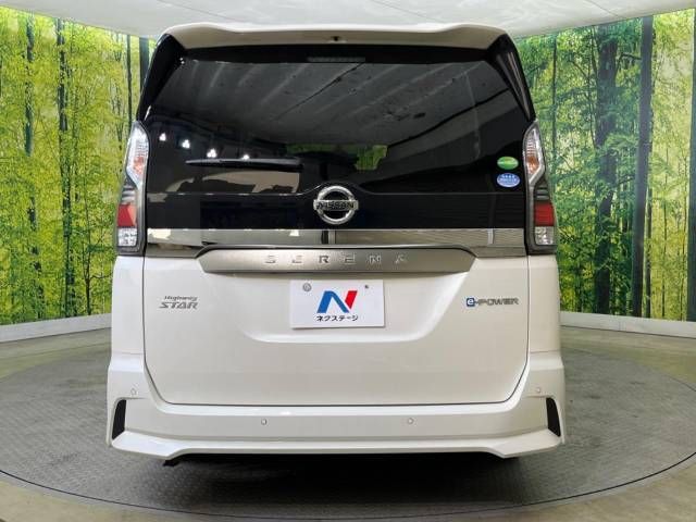 Nissan SERENA 2019-01 196715-15