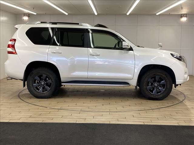 Toyota PRADO 2014-10 193741-16