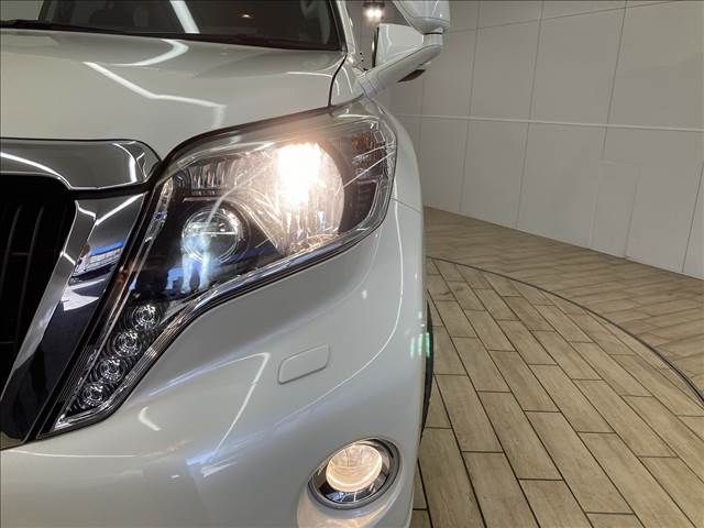 Toyota PRADO 2014-10 193741-18