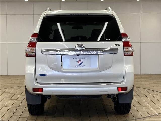 Toyota PRADO 2014-10 193741-14