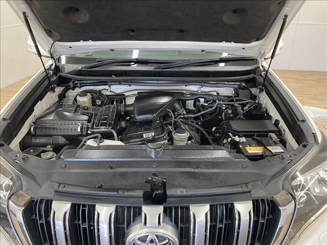 Toyota PRADO 2014-10 193741-17