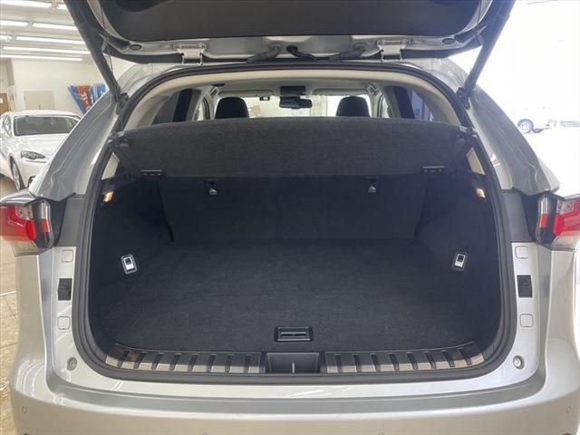 Lexus NX 2015-12 22591-23