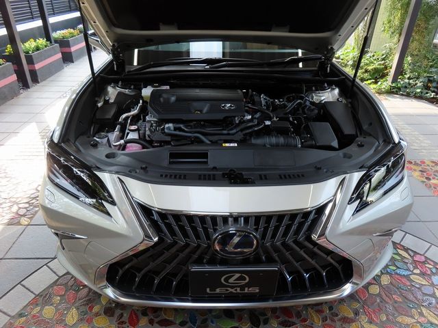 Lexus ES 2022-04 18826-26
