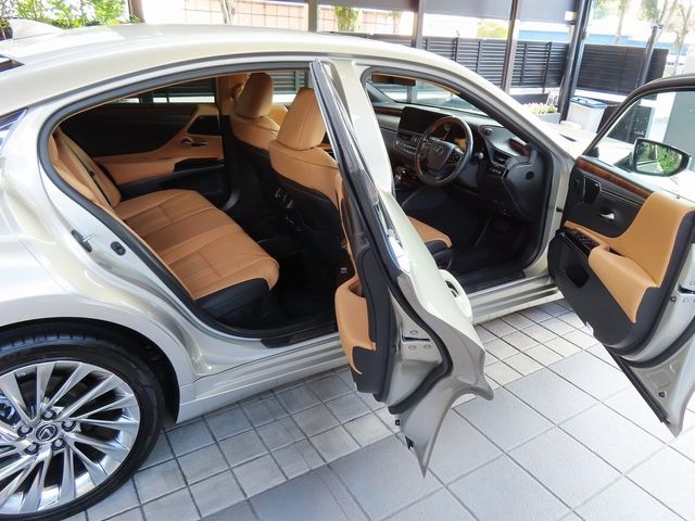 Lexus ES 2022-04 18826-13