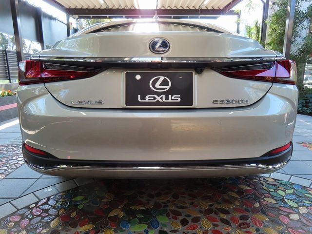 Lexus ES 2022-04 18826-4
