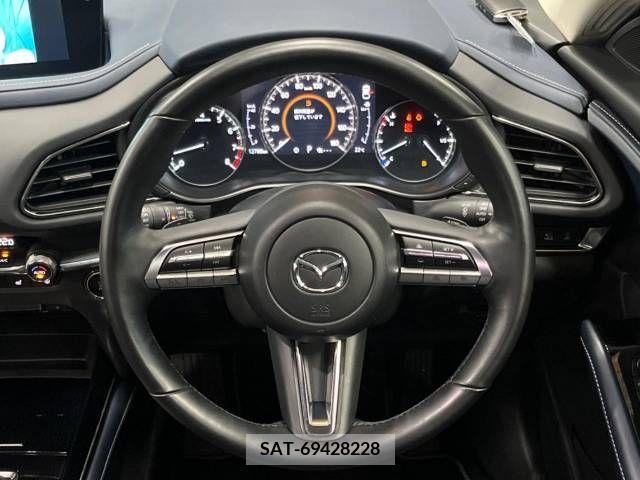 Mazda CX-30 2022-02 295585-11