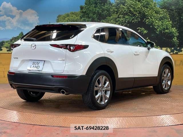 Mazda CX-30 2022-02 295585-17