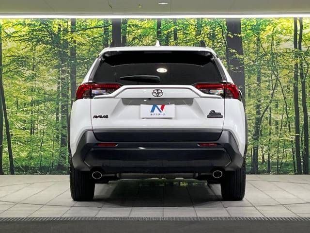 Toyota RAV4 2020-11 22235-15