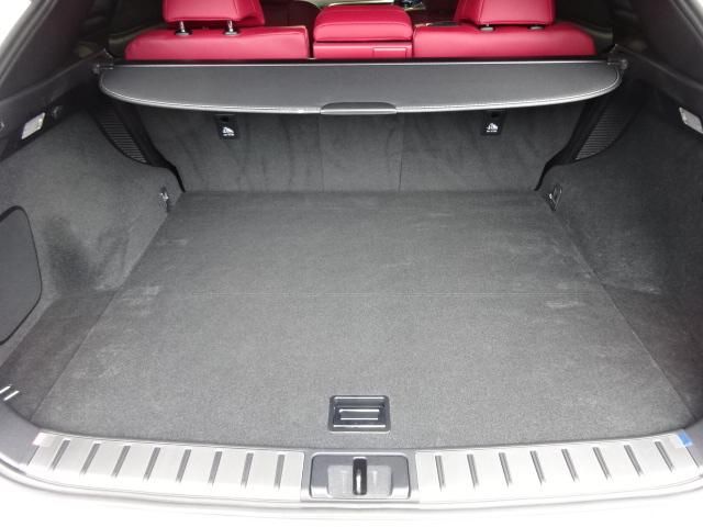 Lexus RX 2018-08 7828-19