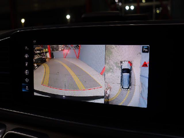 Mercedes Benz GLE-CLASS 2019-08 195748-9