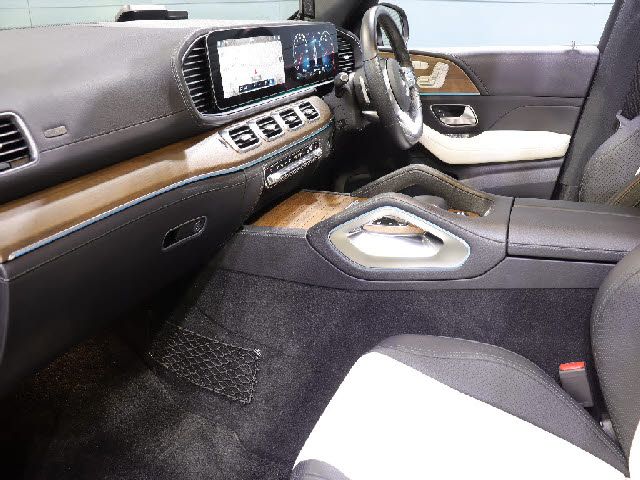 Mercedes Benz GLE-CLASS 2019-08 195748-7