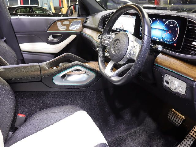 Mercedes Benz GLE-CLASS 2019-08 195748-6