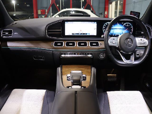 Mercedes Benz GLE-CLASS 2019-08 195748-1