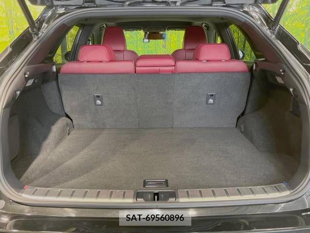 Lexus RX 2018-11 234545-10
