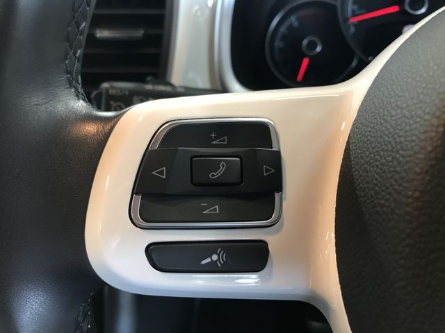 VolksWagen THE BEETLE 2018-12 9138-19