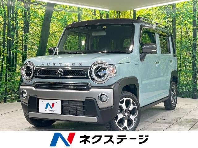 Suzuki HUSTLER 2021-01 193204-0
