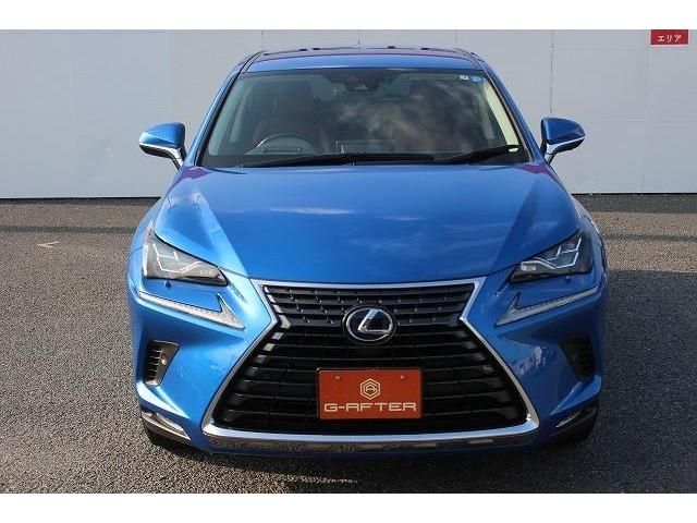Lexus NX 2019-07 6328-7