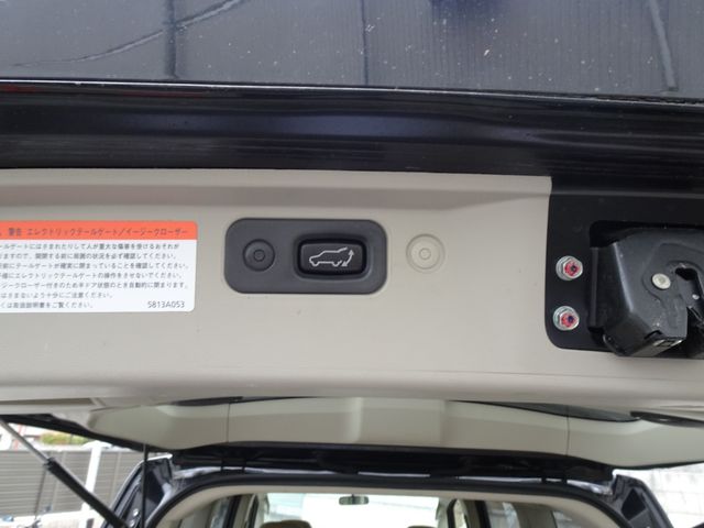 Mitsubishi DELICA D5 2011-10 23193-18