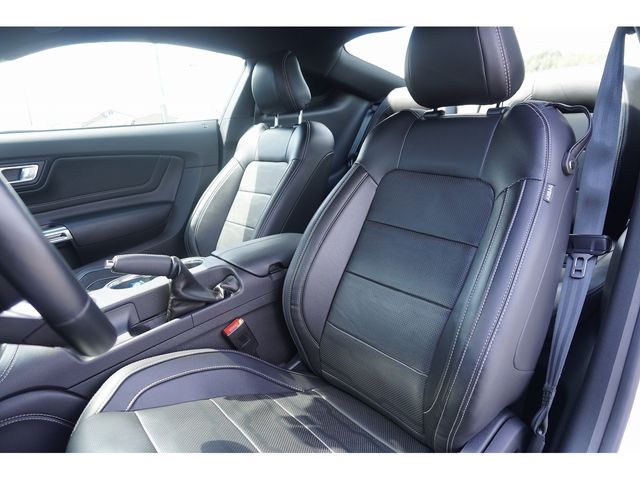 Ford MUSTANG  15167-14