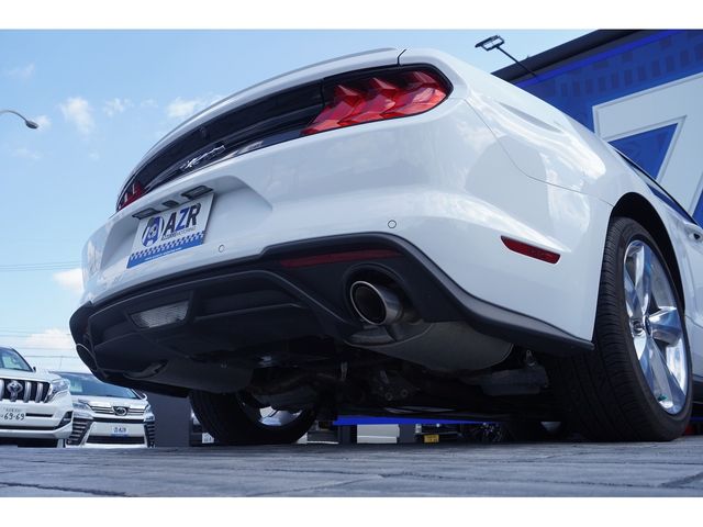 Ford MUSTANG  15167-10