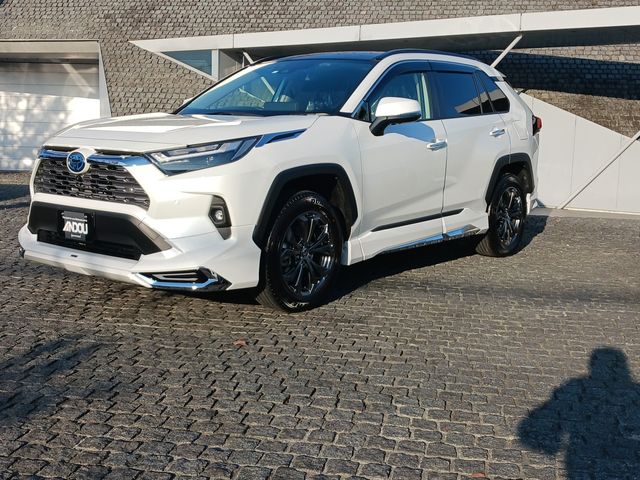 Toyota RAV4 2023-02 196375-0