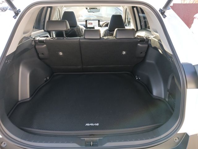 Toyota RAV4 2023-02 196375-28