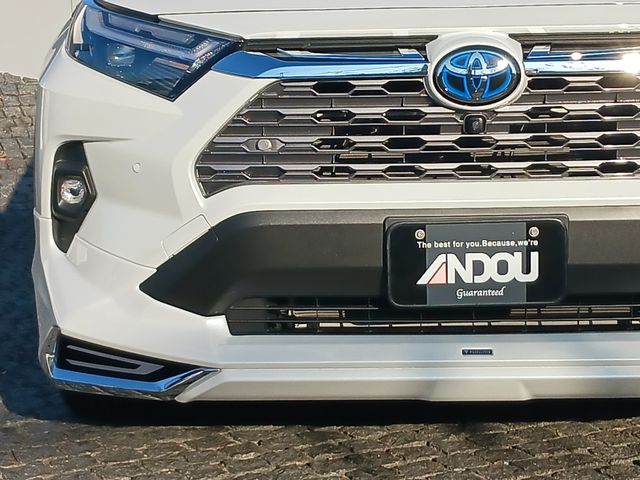 Toyota RAV4 2023-02 196375-5