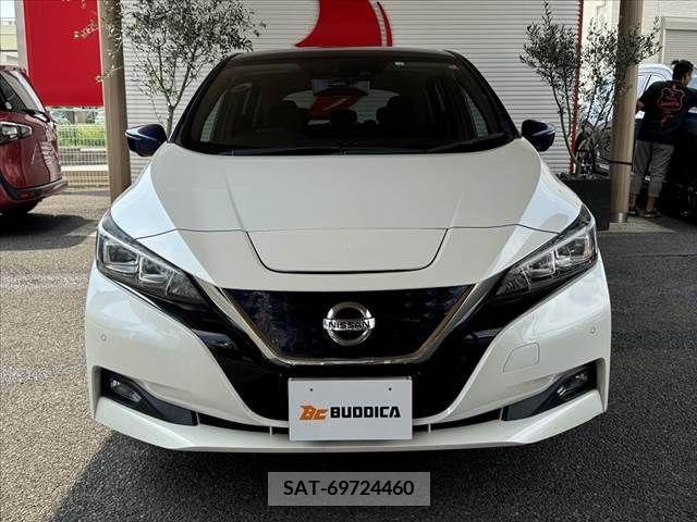 Nissan LEAF 2018-01 297895-8