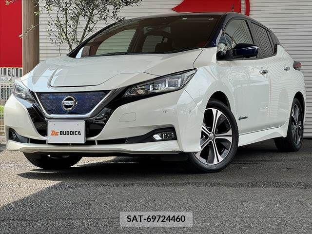 Nissan LEAF 2018-01 297895-9