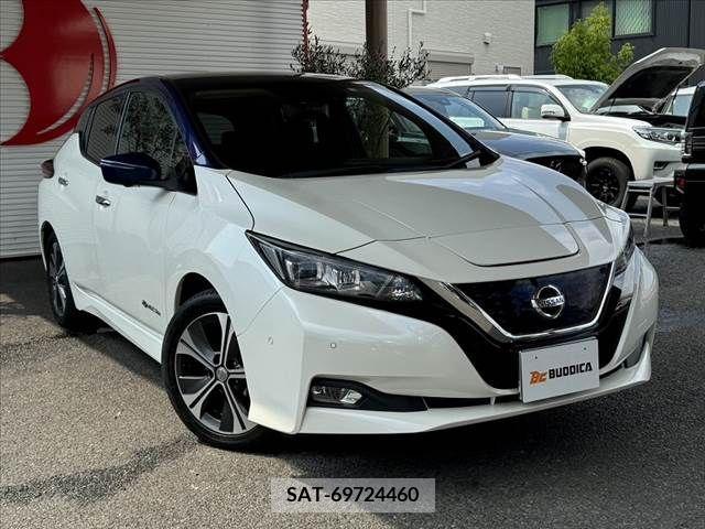 Nissan LEAF 2018-01 297895-7