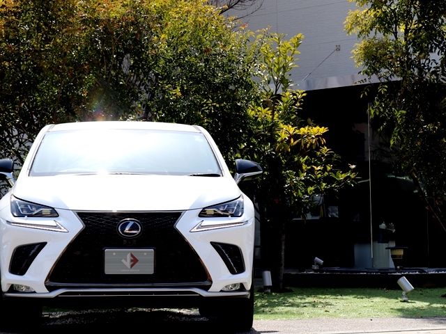 Lexus NX 2019-11 1412-4