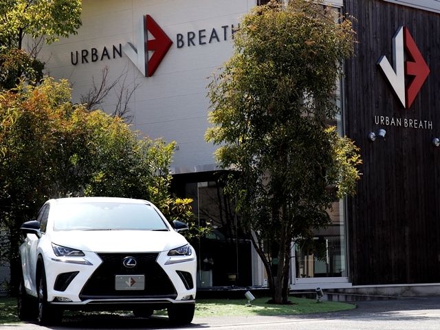 Lexus NX 2019-11 1412-5