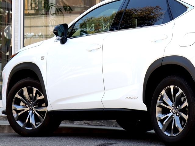 Lexus NX 2019-11 1412-8