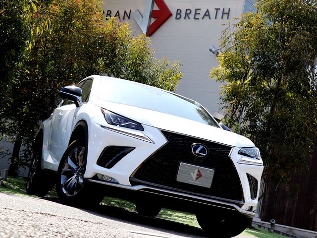 Lexus NX 2019-11 1412-3
