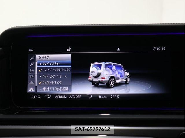 Amg G-CLASS 2020-05 291654-17