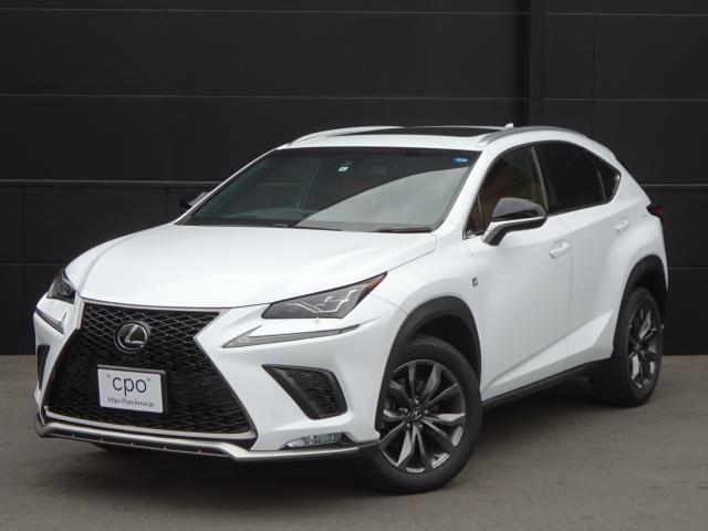 Lexus NX 2018-04 181341-0