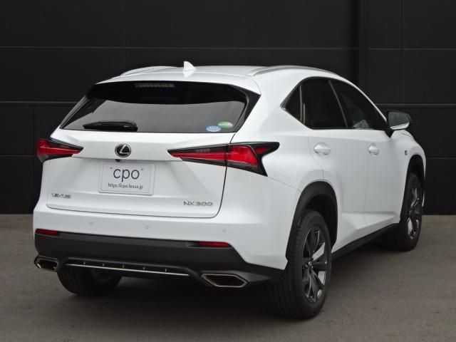 Lexus NX 2018-04 181341-3