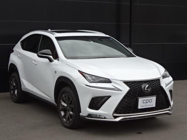 Lexus NX 2018-04 181341-2