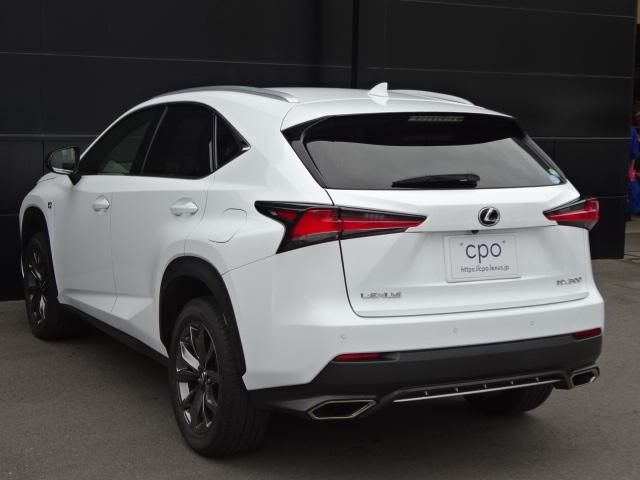 Lexus NX 2018-04 181341-5