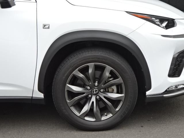 Lexus NX 2018-04 181341-8