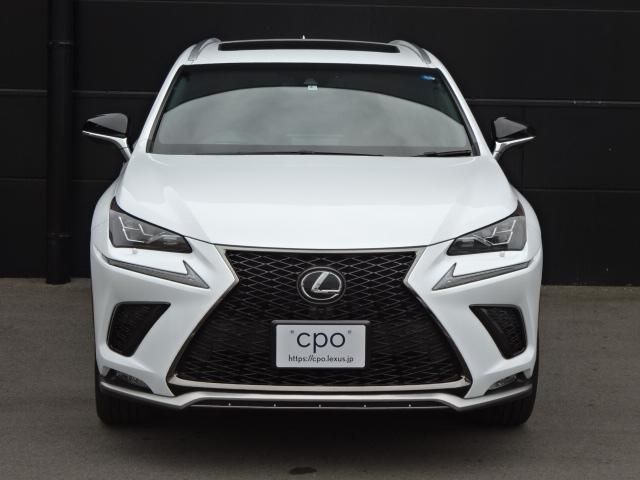 Lexus NX 2018-04 181341-1