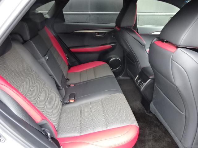 Lexus NX 2018-04 181341-11