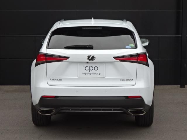 Lexus NX 2018-04 181341-4